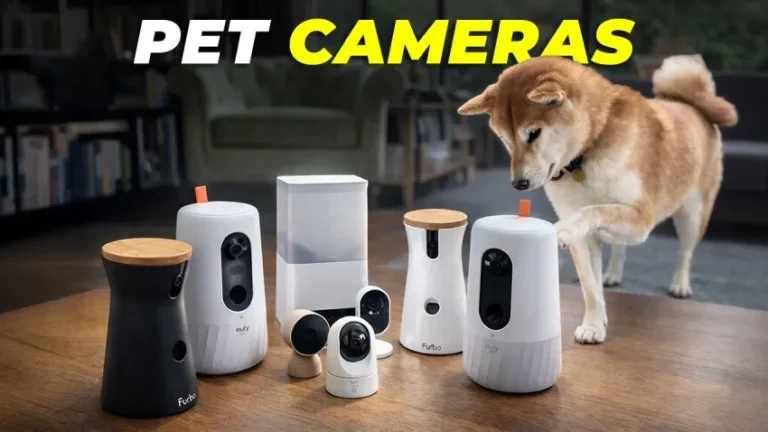 Best Pet Cameras