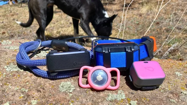 Best Pet Location Trackers