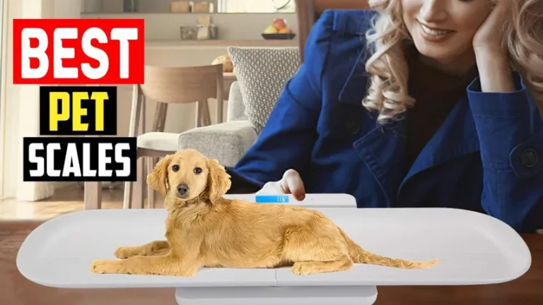 Best Pet Scales