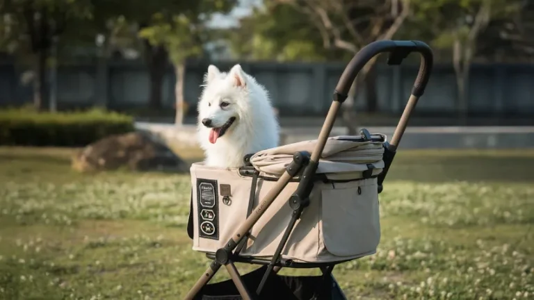 Best Pet Strollers