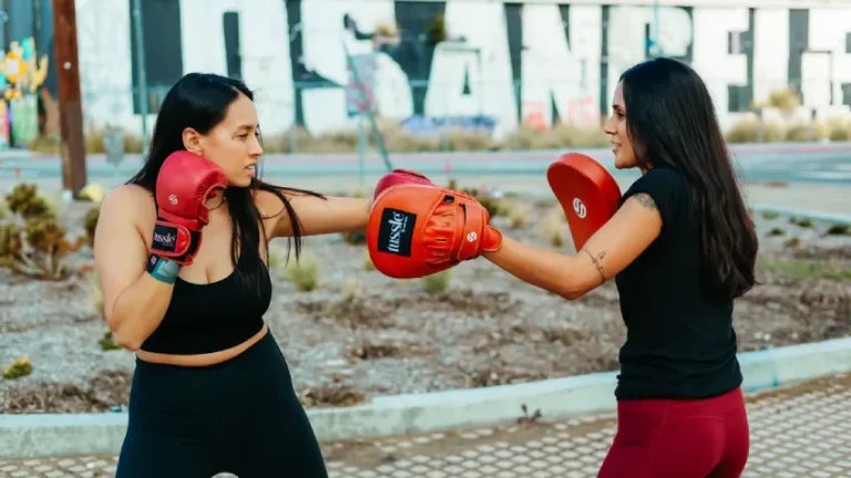 Best Punch Mitts