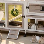 Best Rabbit Hutches