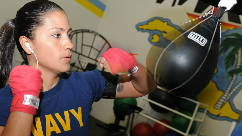 Best Speed Punching Bags