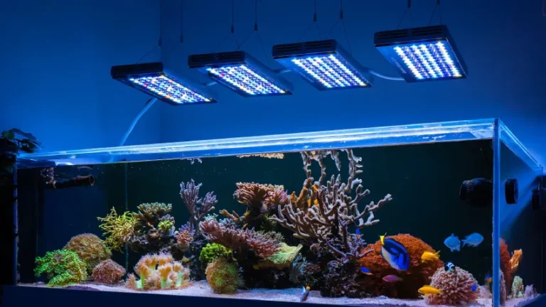 Best Underwater Aquarium Lights