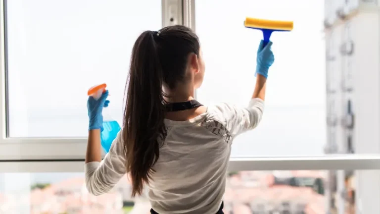 Best Window Squeegees