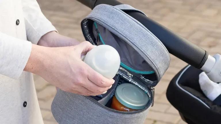 Best Baby Bottle Tote Bags
