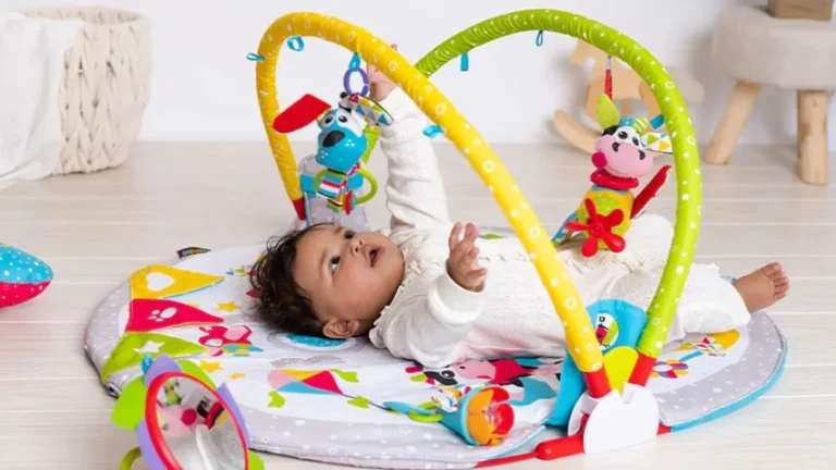 Best Baby Gyms & Playmats