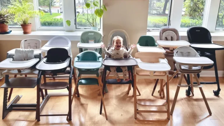 Best Baby Highchairs