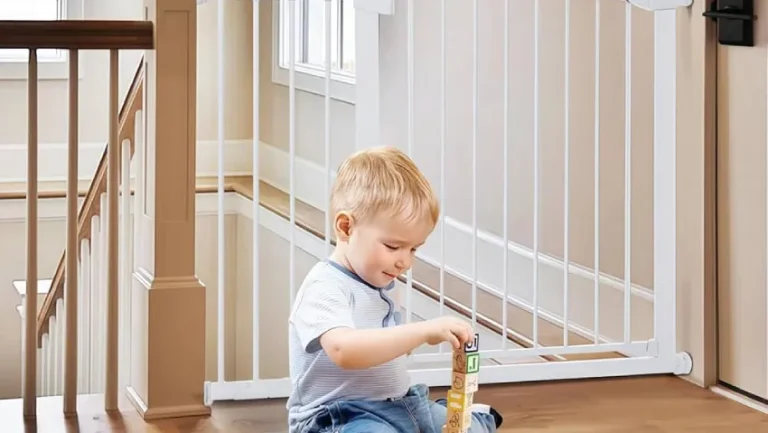 Best Door & Stair Baby Gates